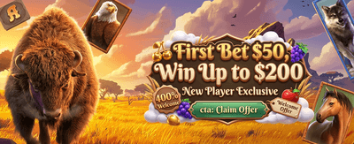 Daily Spin Fortune